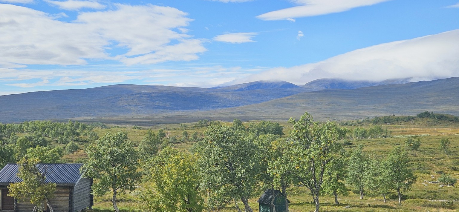 Fjällandskap i Härjedalen med björkar och en timrad stuga